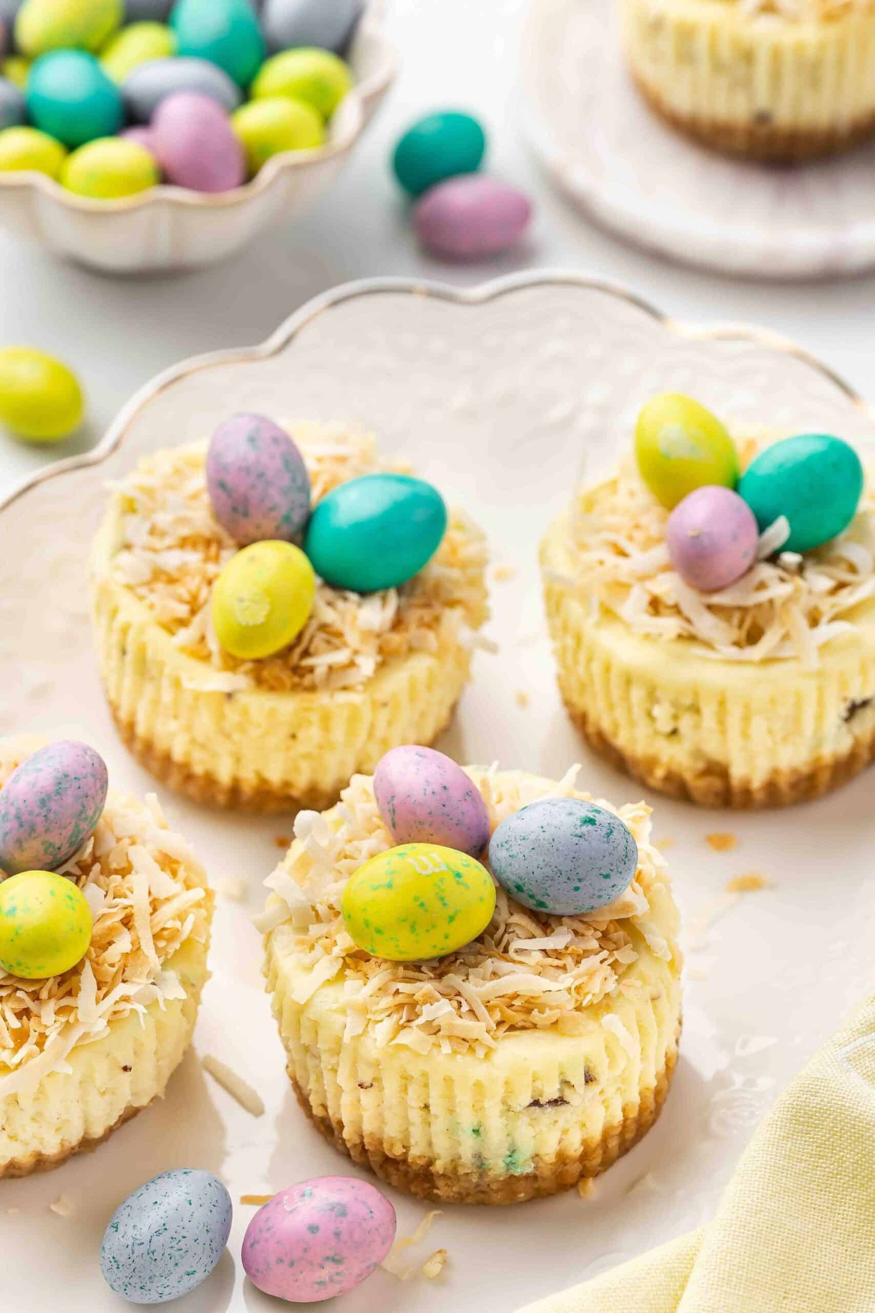 Mini Easter cheesecakes on a white plate, decorated with bright Easter eggs and toasted coconut.