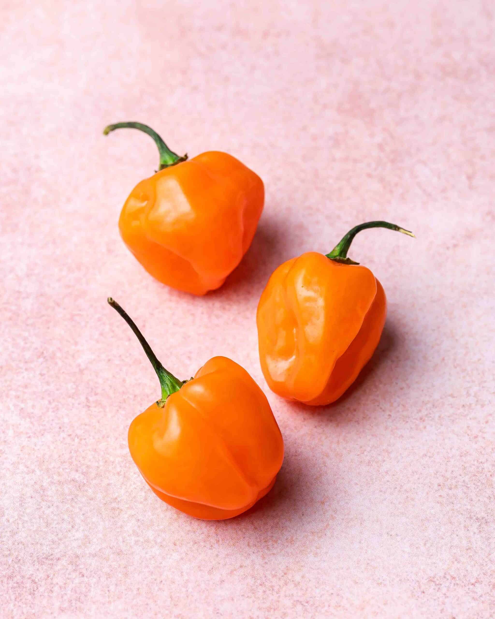 Habanero pepper with its vibrant orange color.